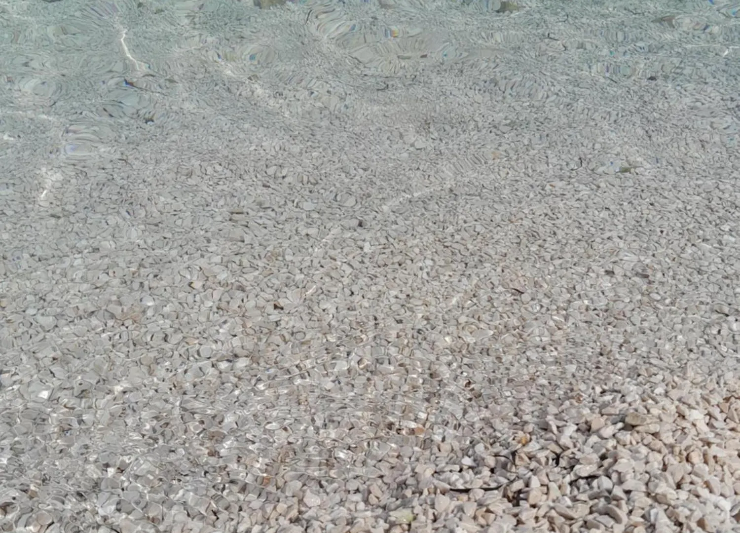 Apartment Kvesic Trogir